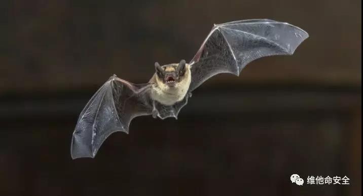 GA�ƽ�ס�(�й���)�ٷ���վ