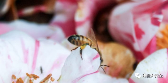 GA�ƽ�ס�(�й���)�ٷ���վ