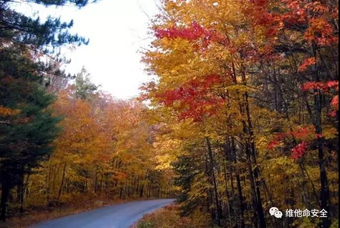 GA�ƽ�ס�(�й���)�ٷ���վ