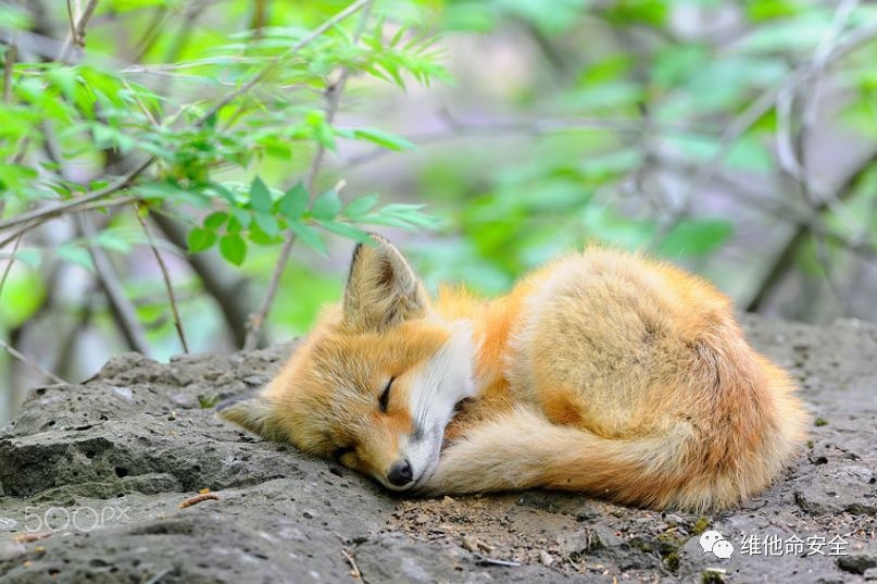 GA�ƽ�ס�(�й���)�ٷ���վ